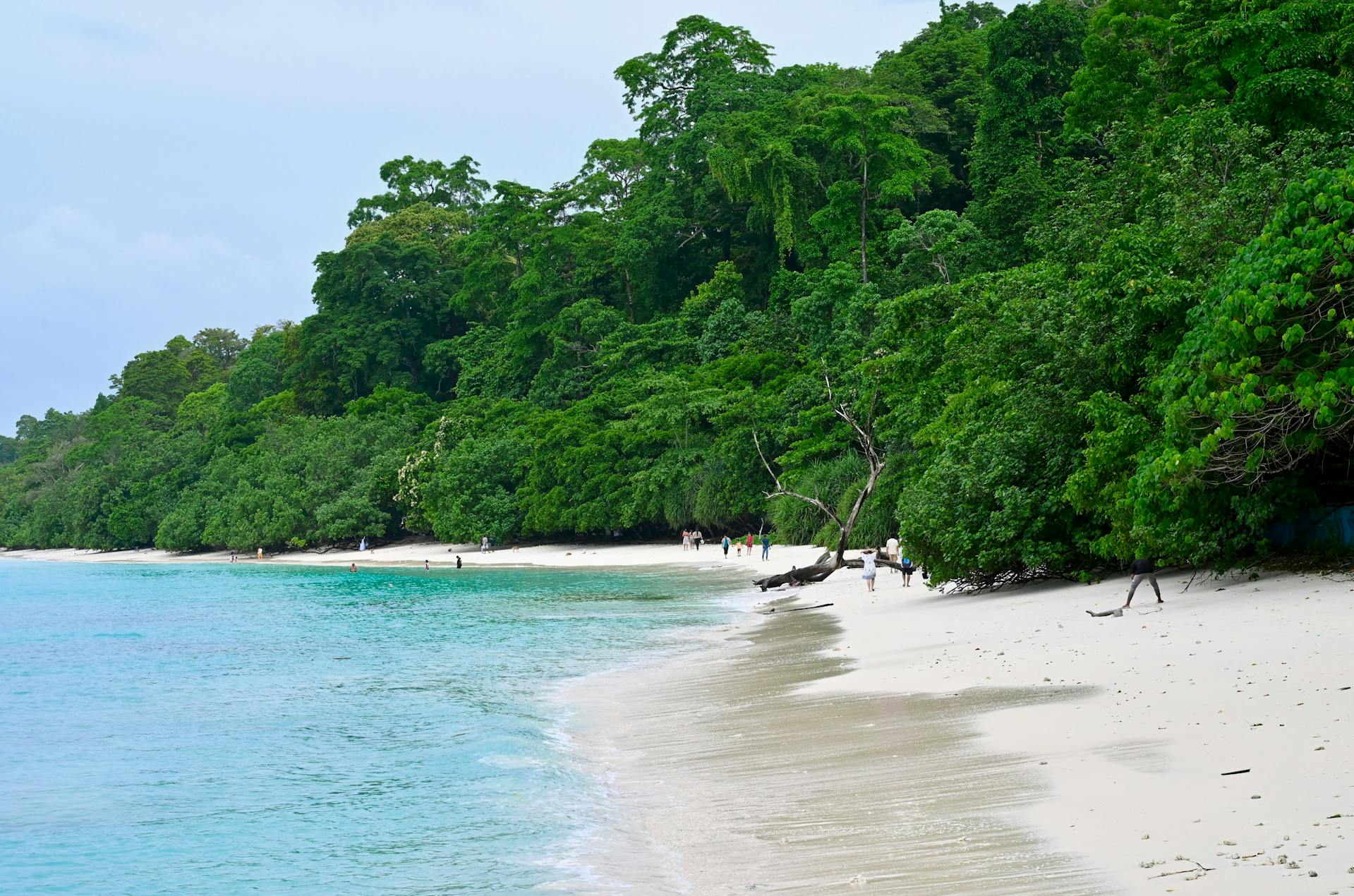 Best Beach Destinations in India 2026