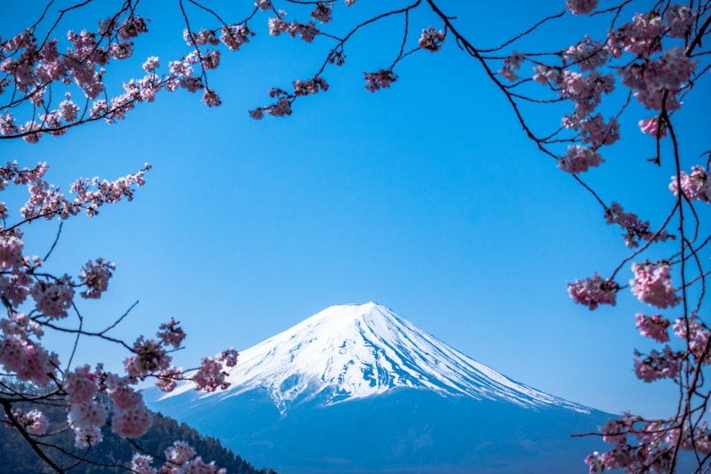 Mount Fuji with cherry blossoms, Japan