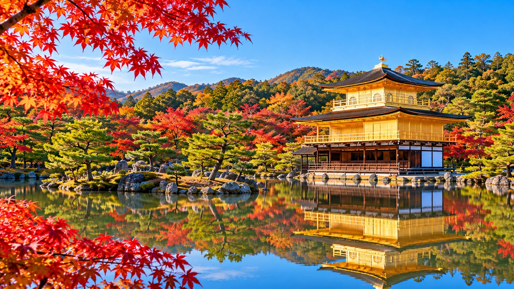 Kinkaku-ji Golden Pavilion in autumn on the Japan autumn group tour